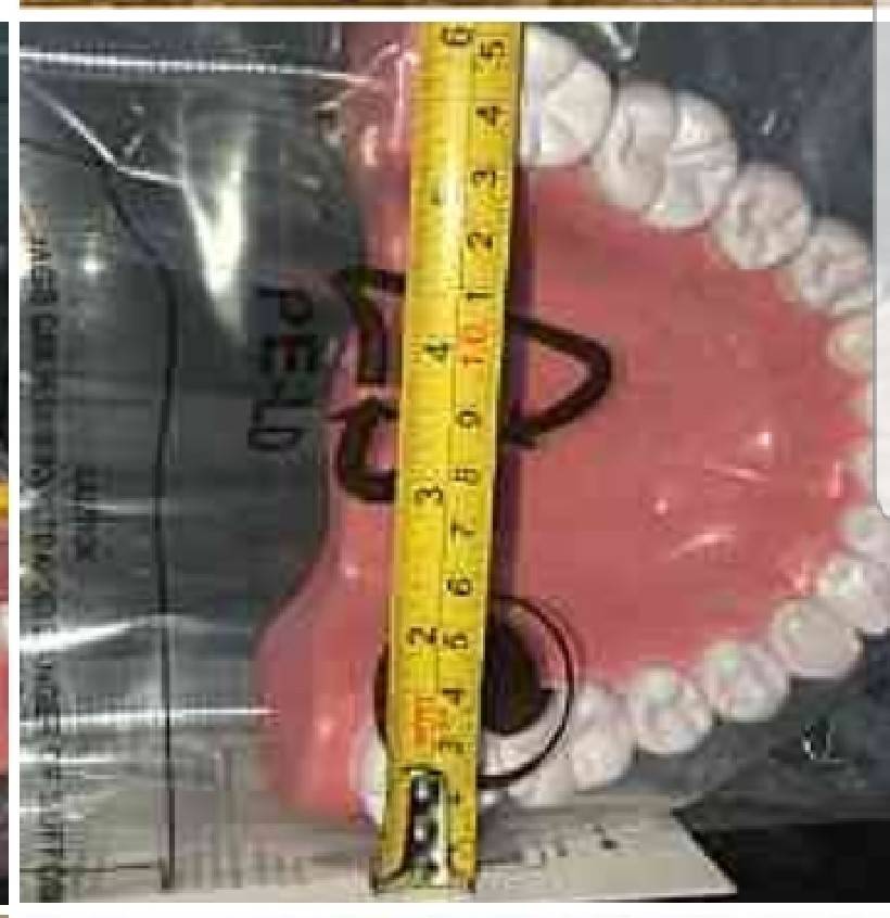 โมเดล ฟันจำลอง พร้อมแปรง, ของเล่นเสริมพัฒนาการ, สื่อการสอนอนุบาล,ปฐมวัย, ของเล่นเสริมพัฒนาการ, ของเล่นเสริมทักษะ