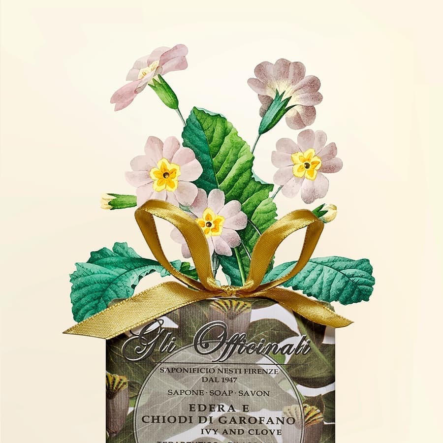 Nesti Dante Ivy and Clove (200g)