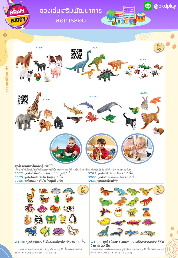 cattalog แคตตาล็อก สื่อการสอนทุกวิชา งานนำเข้า และอื่นๆ ของเล่นฝึกสมอง ฝึกไอคิว