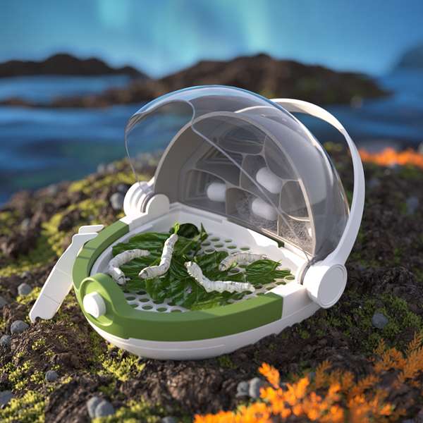 ชุดกล่องเลี้ยงหนอนไหมแสนสนุก แบบพกพา สื่อการสอนอนุบาล,ปฐมวัย,ของเล่นเสริมพัฒนาการ, ของเล่นเสริมทักษะ