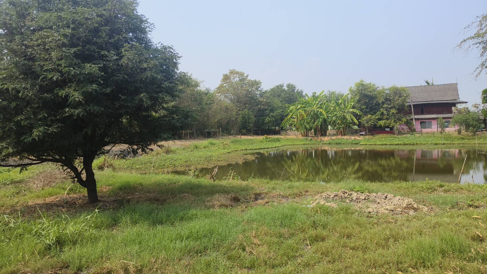 🌿 ขายด่วน! ที่ดินติดแม่น้ำ ทำเลทอง แหล่งท่องเที่ยว จ.นครปฐม 📍 บางระกำ บางเลน นครปฐม