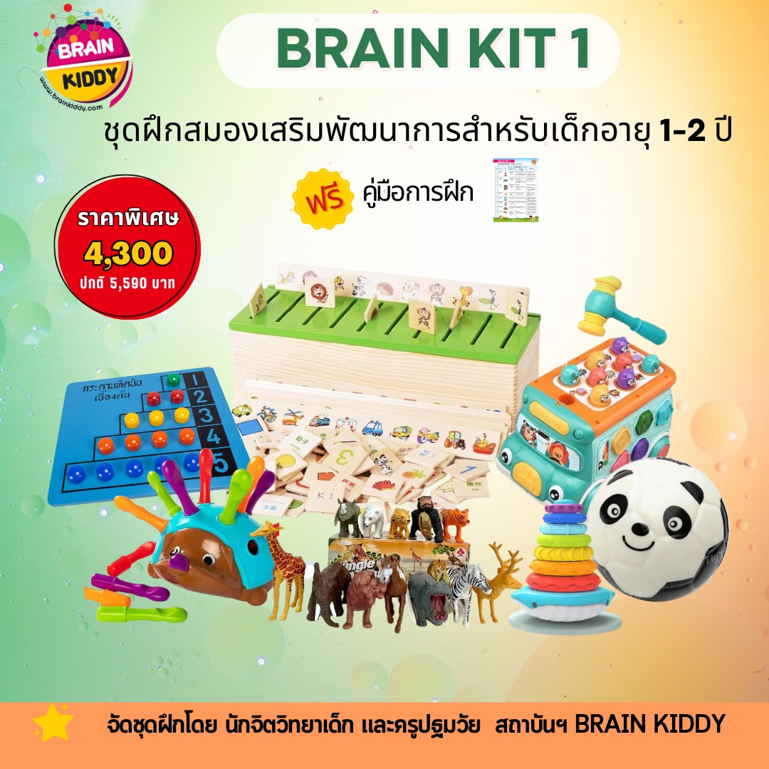 ชุดฝึกสมองเสริมพัฒนาการ Brain Kit 1 สำหรับเด็กอายุ 1-2 ปี จัดชุดโดยนักจิตวิทยาเด็ก และครูปฐมวัย