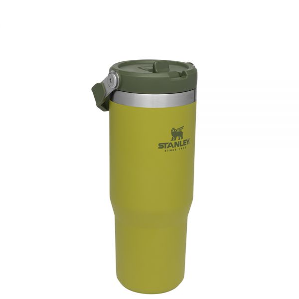 Classic Flip Straw Tumbler 30Oz Aloe