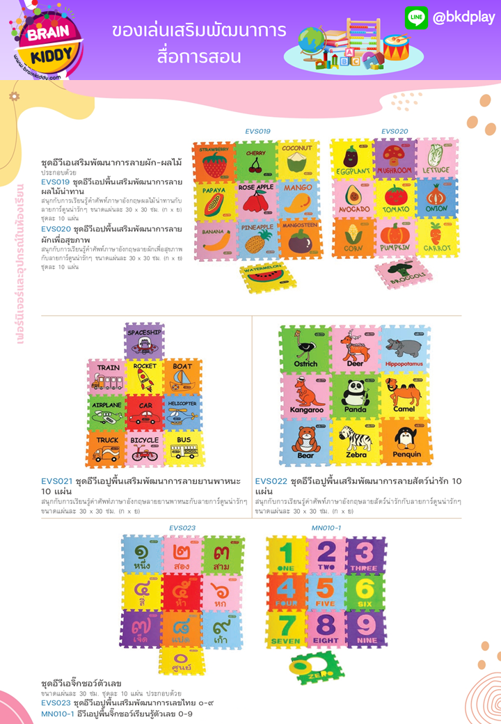 cattalog แคตตาล็อก สื่อการสอนทุกวิชา งานนำเข้า และอื่นๆ ของเล่นฝึกสมอง ฝึกไอคิว