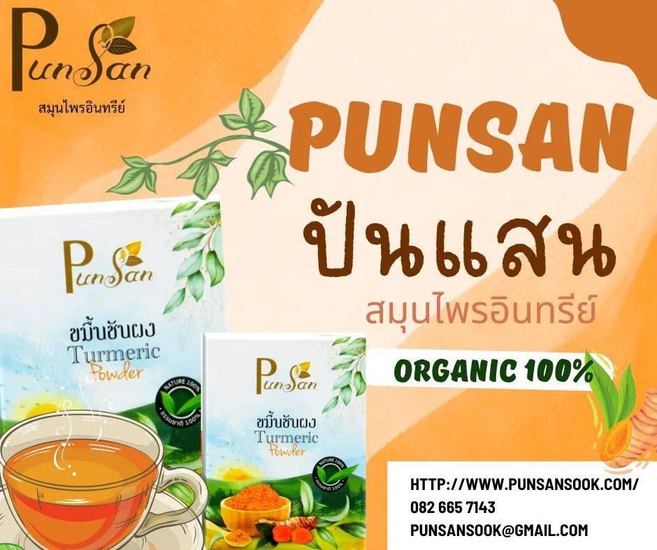 ผงขมิ้นชันอินทรีย์ Tumeric Powder Organic