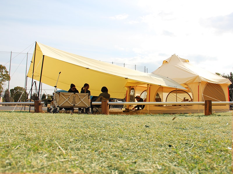 DoD Big fire cradle FT5-513