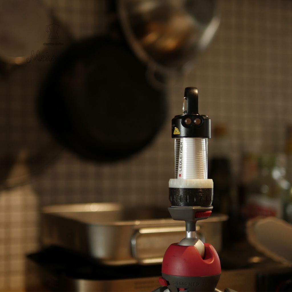 Magnetic Mount and Tripod Adapter (ML4) 2550000000961