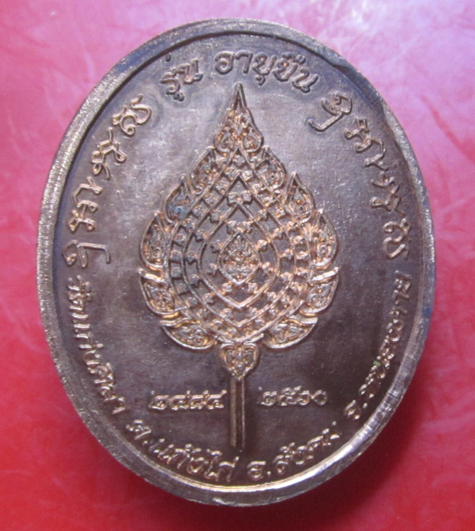 เหรียญอายุยืน พระพุทธสารสุธี(สวาสดิ์ )ป.ธ8 วัดแก่งศิลา จ.หนองคาย