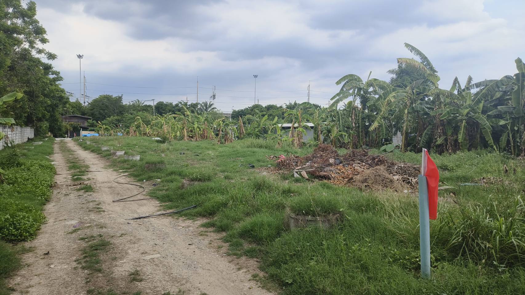 ✨ขายด่วน! ที่ดินแปลงสวย ลาดพร้าว-รามอินทรา กรุงเทพฯ ทำเลทอง ใจกลางแหล่งธุรกิจ✨