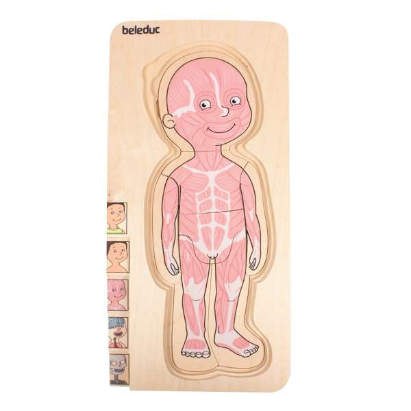 ชุดเกมบล็อกไม้ร่างกายเด็กชาย สื่อการสอนอนุบาล,ปฐมวัย,ของเล่นเสริมพัฒนาการ, ของเล่นเสริมทักษะ