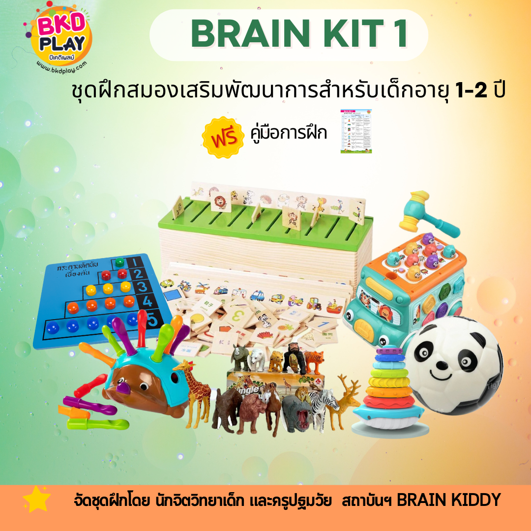 ชุดฝึกสมองเสริมพัฒนาการ Brain Kit 1 สำหรับเด็กอายุ 1-2 ปี จัดชุดโดยนักจิตวิทยาเด็ก และครูปฐมวัย