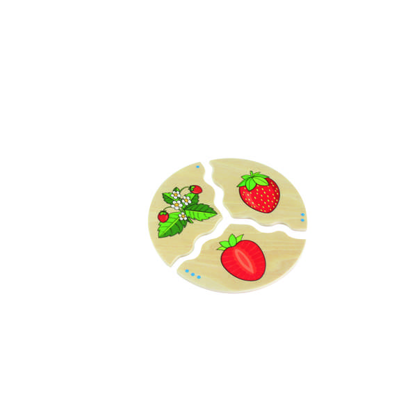 เกมปริศนาการเจริญเติบโตของผลไม้ , ของเล่นไม้, ของเล่นเสริมพัฒนาการ, ของเล่นเด็กอนุบาล, สื่อการสอนเด็กอนุบาล, สื่อการสอนประถม,พร้อมส่ง