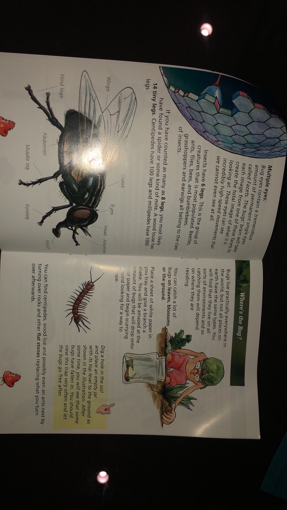 บ้านแมลง ,ชุดสำรวจแมลง ของเล่นเสริมพัฒนาการ,สื่อการสอนอนุบาล,ปฐมวัย, ของเล่นเสริมพัฒนาการ, ของเล่นเสริมทักษะสื่อการสอนผลิตในไทย,สินค้าพร้อมส่ง