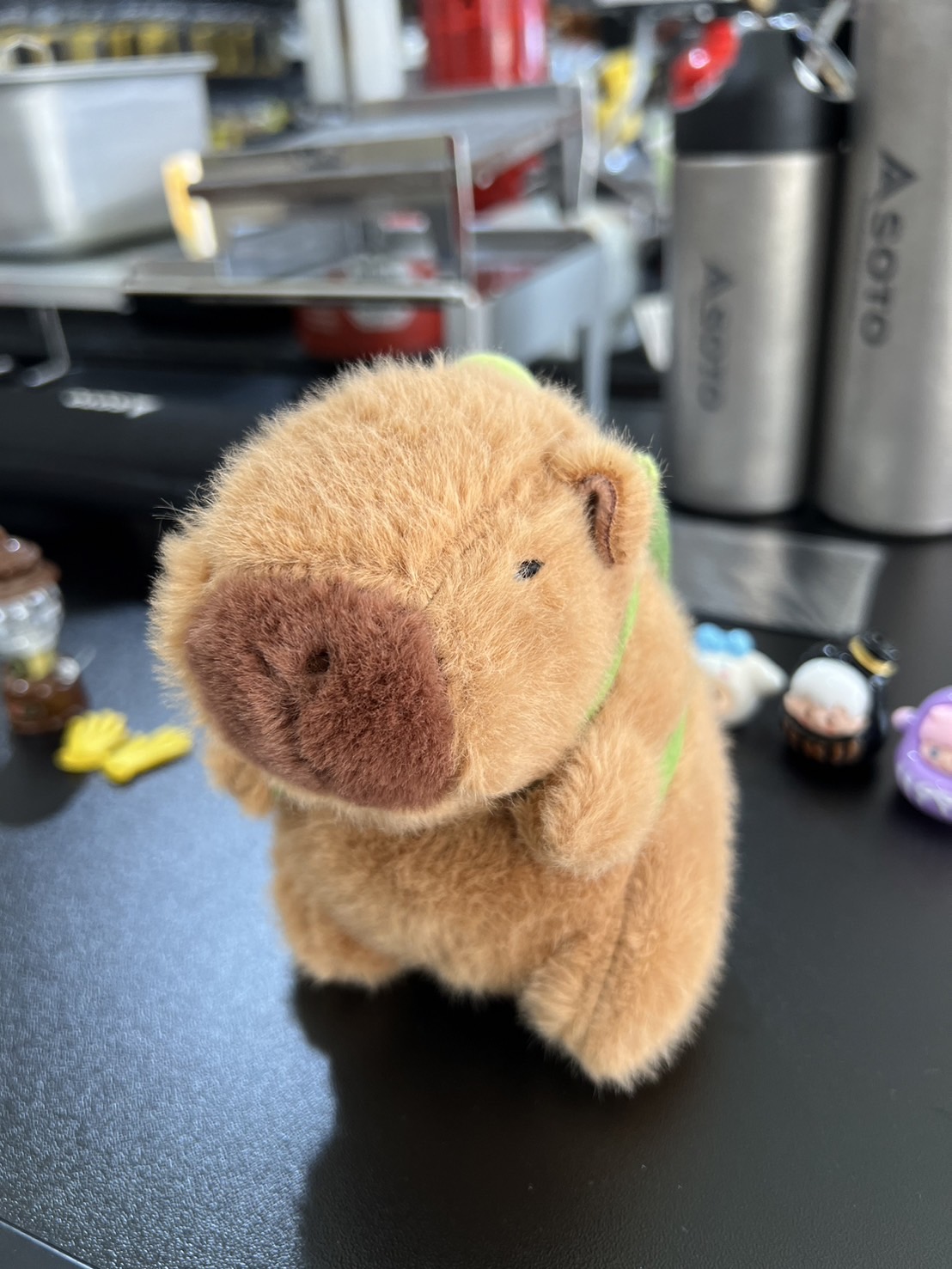 Capybara Jenny Turtle