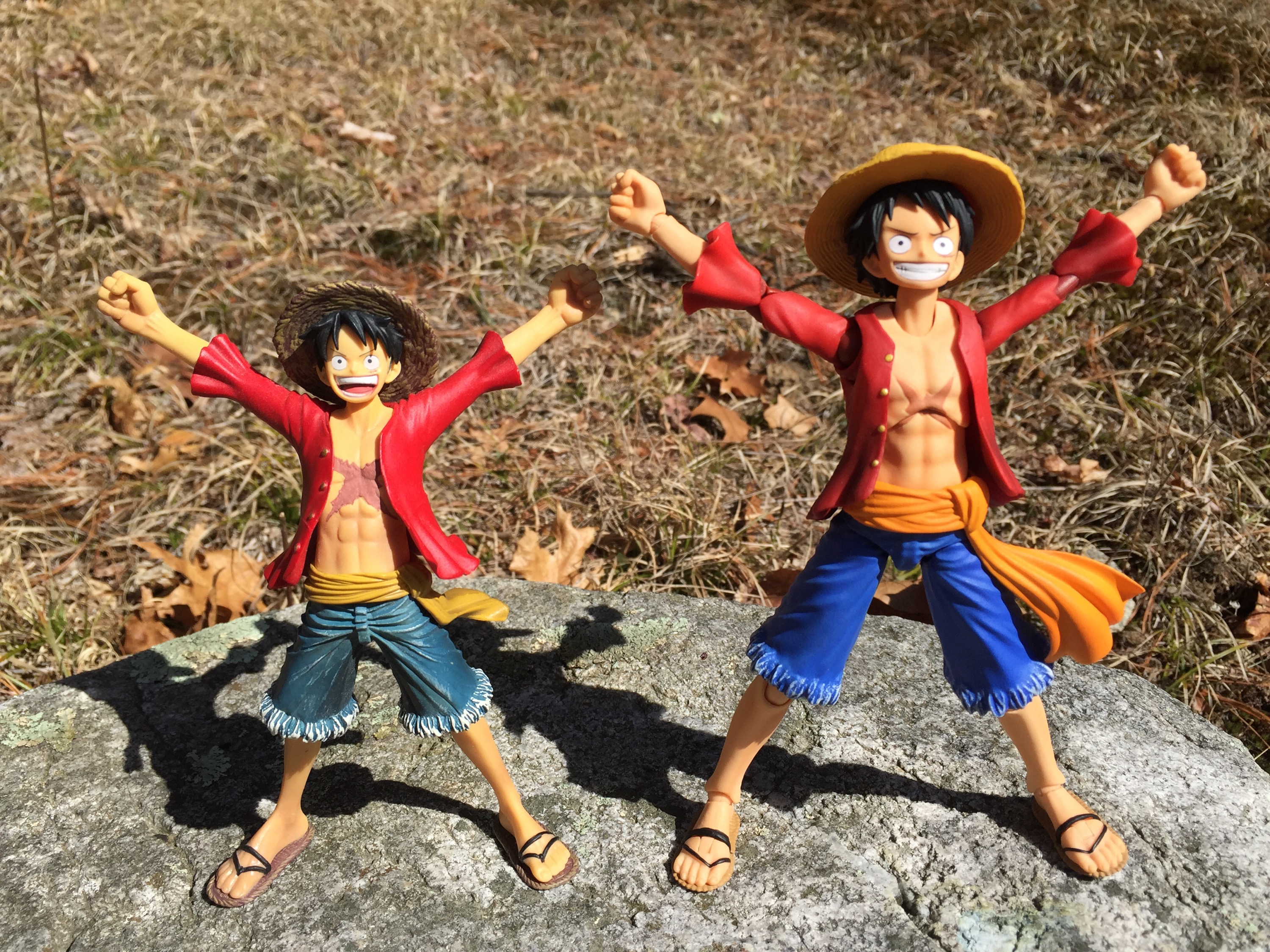 Luffy (ขยับได้) ของแท้ JP แมวทอง - Variable Action Heroes Megahouse [โมเดลวันพีช]