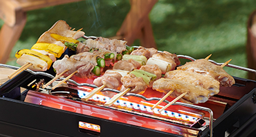 Aburiya Robata CB-ABR-2