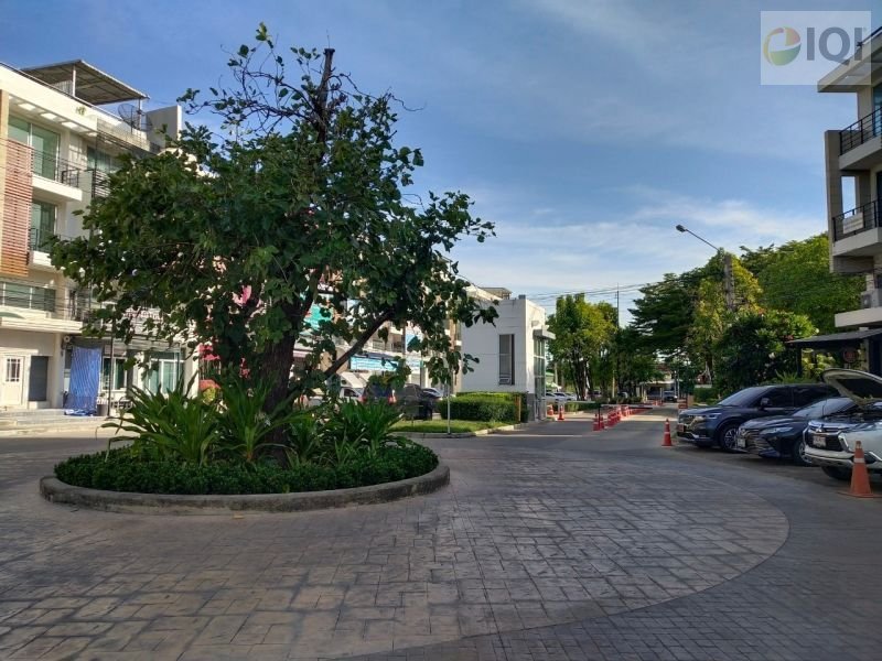 ขาย โฮมออฟฟิศ 3.5 ชั้น ม.ทาวน์พลัส ประชาอุทิศ แปลงมุม ถนนประชาอุทิศ - เนื้อที่ 18 ตร.ว. พื้นที่ 245 ตร.ม. - ขนาด 3 ห้องนอน 3 ห้องน้ำ 1 ห้องรับแขก