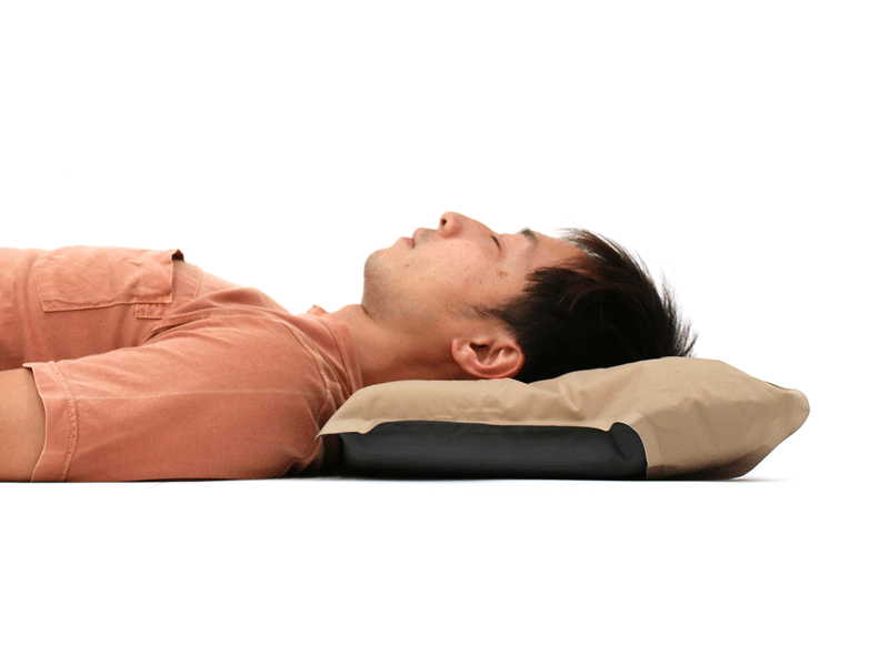 DoD Sotone no Makura pillow CP1-654-TN