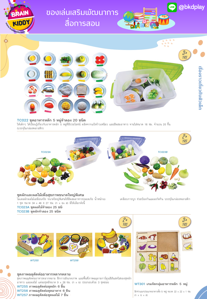 cattalog แคตตาล็อก สื่อการสอนทุกวิชา งานนำเข้า และอื่นๆ ของเล่นฝึกสมอง ฝึกไอคิว