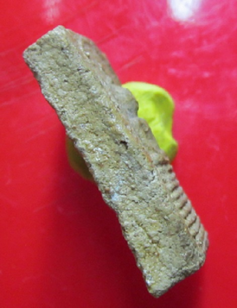 พระสมเด็จเนื้อผงว่าน หลวงปู่ชา วัดหนองป่าพง จ.อุบลราชธานี