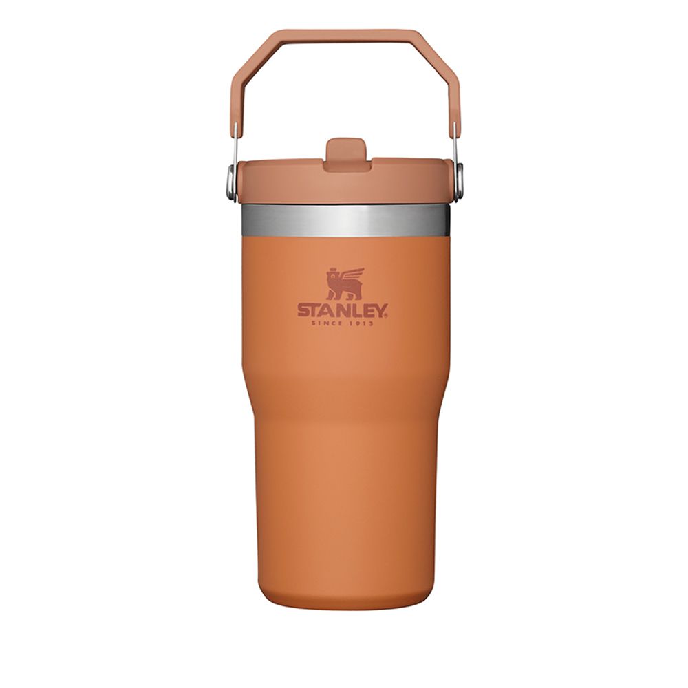 Classic Flip Straw Tumbler 20Oz Ochre