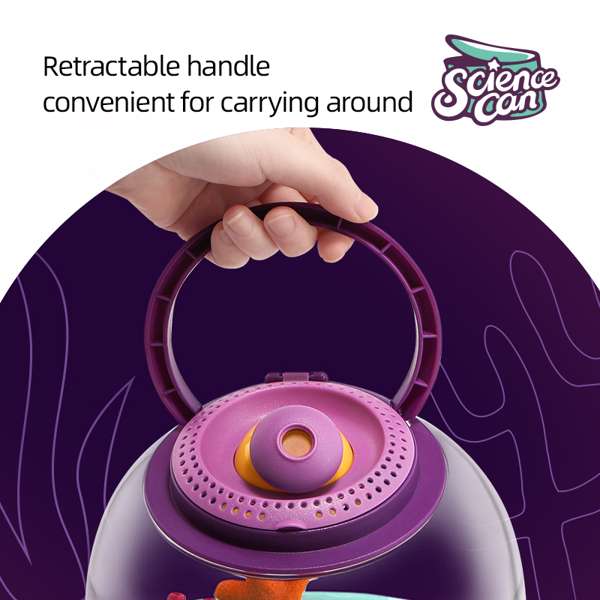 ชุดกล่องเลี้ยงปลาและแมลง สื่อการสอนอนุบาล,ปฐมวัย,ของเล่นเสริมพัฒนาการ, ของเล่นเสริมทักษะ