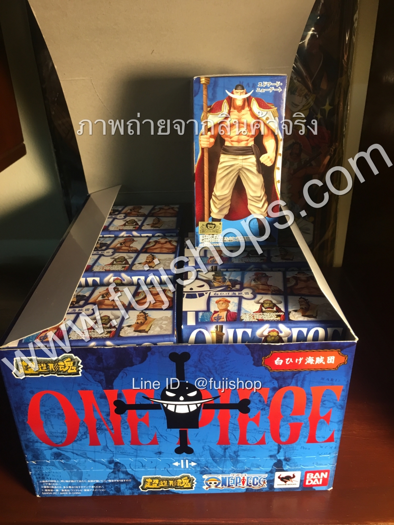 Whitebeard Pirate Set ของแท้ JP แมวทอง - Super Modeling Soul Bandai [โมเดลวันพีช] (7 ตัว)