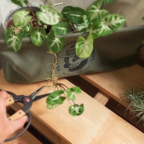 Canvas Storage Basket