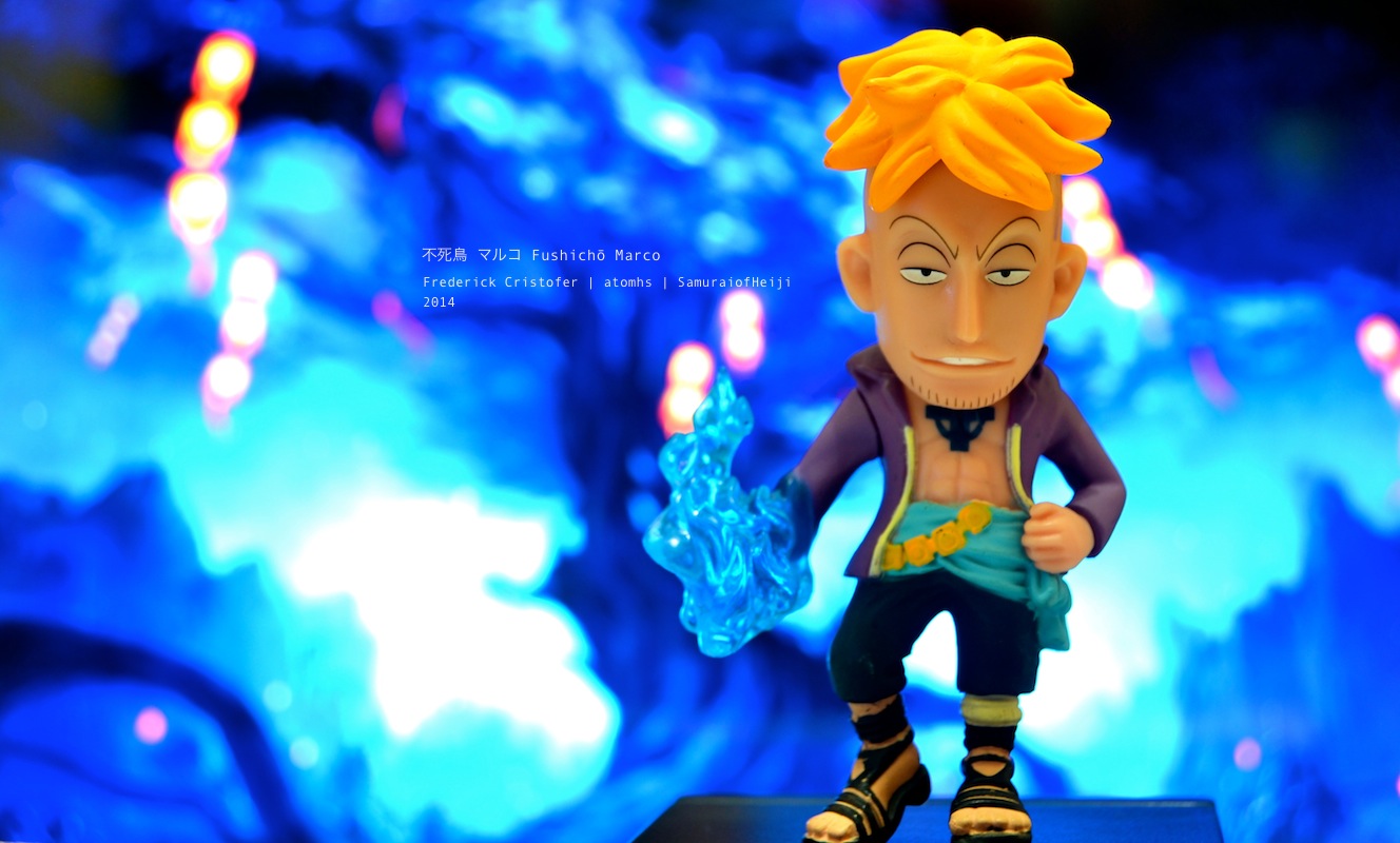 Marco ของแท้ JP แมวทอง - WCF Ichiban Kuji Banpresto [โมเดลวันพีช]