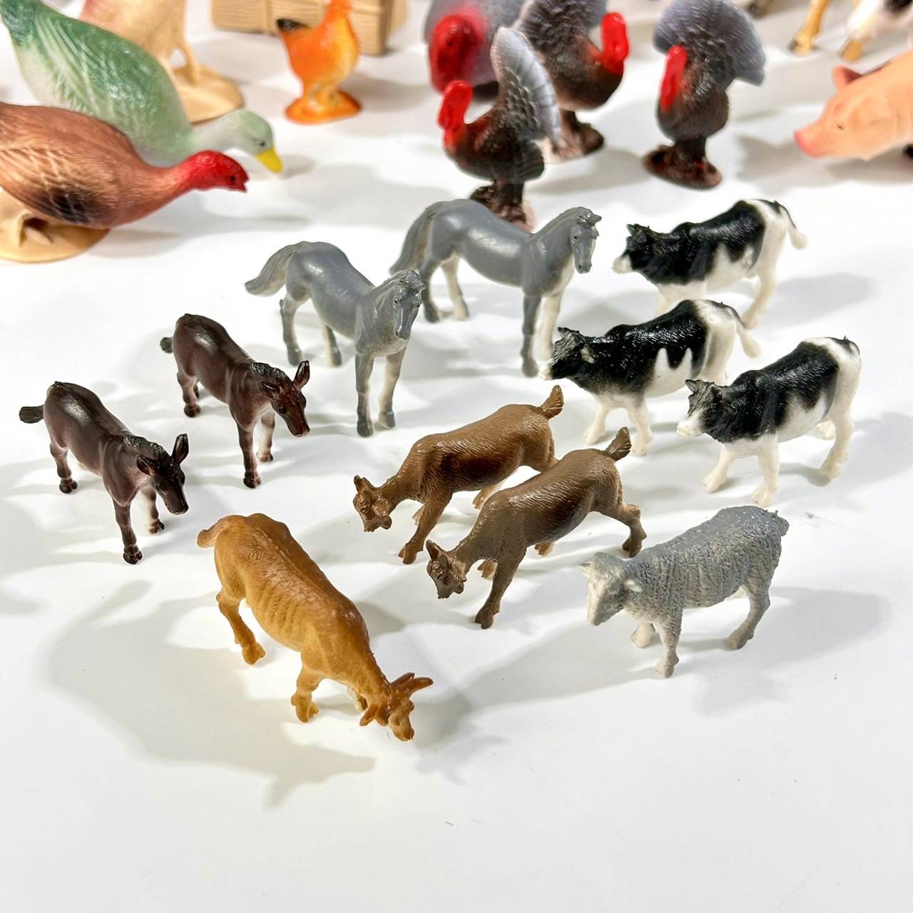 โมเดลฟาร์มสัตว์, ของเล่นสัตว์เลี้ยง, สัตว์พลาสติก, สื่อการสอนปฐมวัย, ของเล่นเด็กอนุบาล, พร้อมส่ง