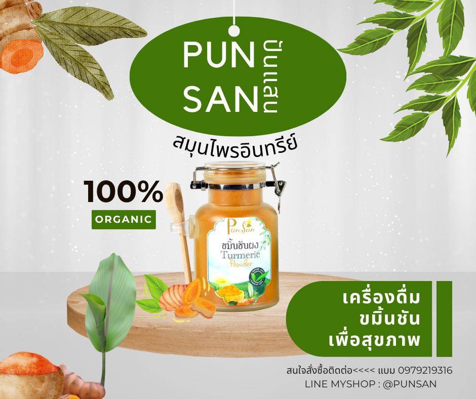 ผงขมิ้นชันอินทรีย์ Tumeric Powder Organic