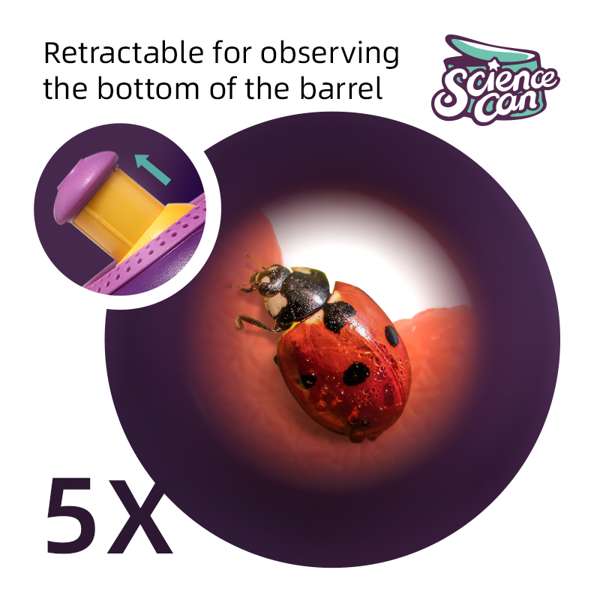 ชุดกล่องเลี้ยงปลาและแมลง สื่อการสอนอนุบาล,ปฐมวัย,ของเล่นเสริมพัฒนาการ, ของเล่นเสริมทักษะ