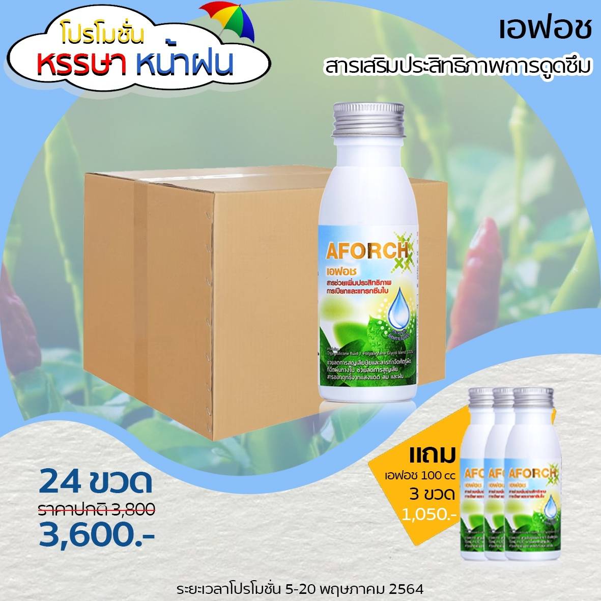 เอฟอช 100cc 1ลัง24ขวด