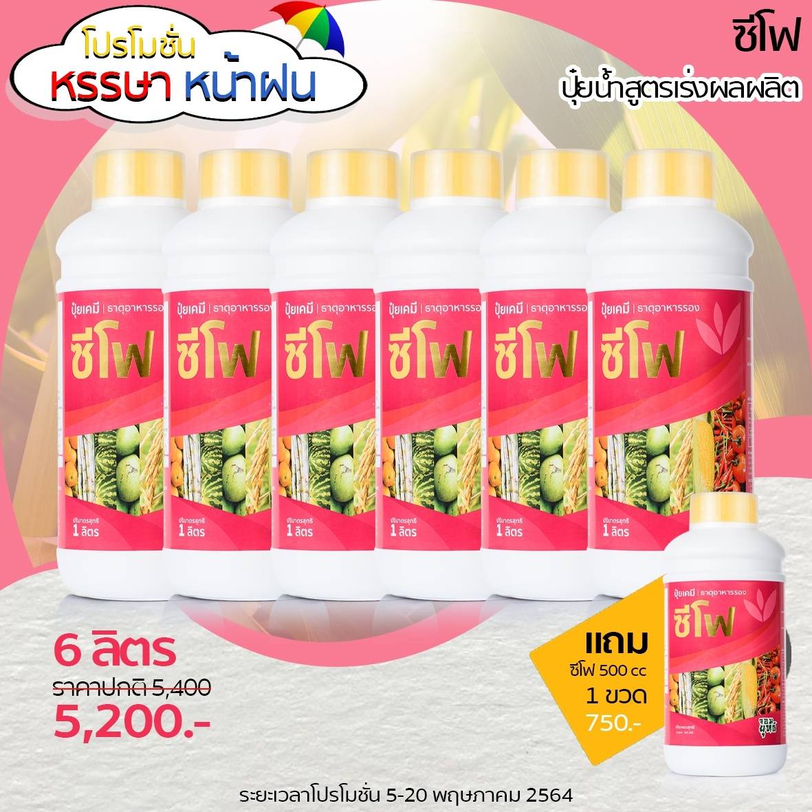 ซีโฟ ปุ๋ยเร่งผล 6ลิตร