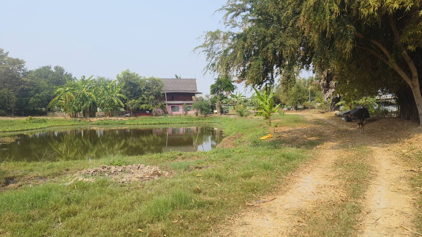 🌿 ขายด่วน! ที่ดินติดแม่น้ำ ทำเลทอง แหล่งท่องเที่ยว จ.นครปฐม 📍 บางระกำ บางเลน นครปฐม