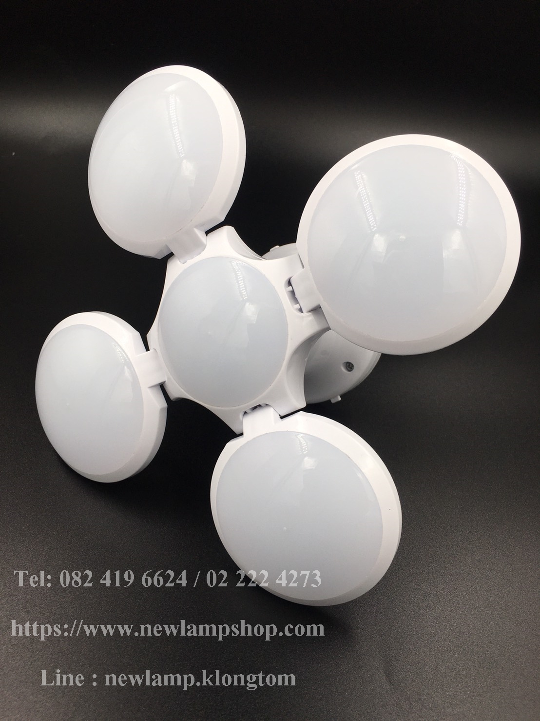 ไฟลูกบอลโซลาเซลล์/ Solar Emergency Charging Lamp 2029