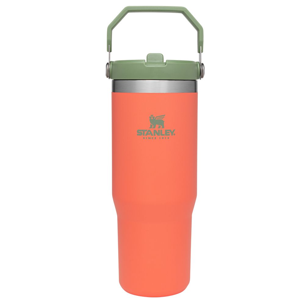 Classic Flip Straw Tumbler 30Oz Guava