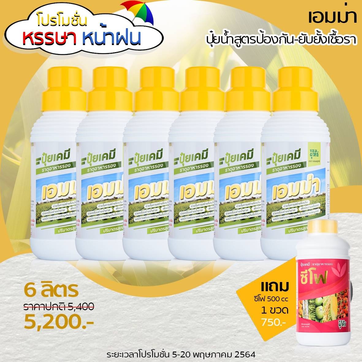 เอมม่า สูตรป้องกันเชื้อรา6ขวด แถมฟรีเอฟอช100ซีซี 3ขวด