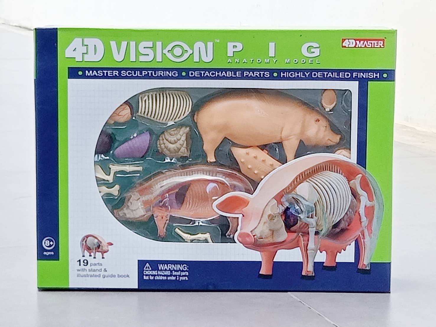 โมเดลหมู(4D Vision) ของเล่นเสริมพัฒนาการ,สื่อการสอนอนุบาล,ปฐมวัย, ,ของเล่นเสริมพัฒนาการ, ของเล่นเสริมทักษะ
