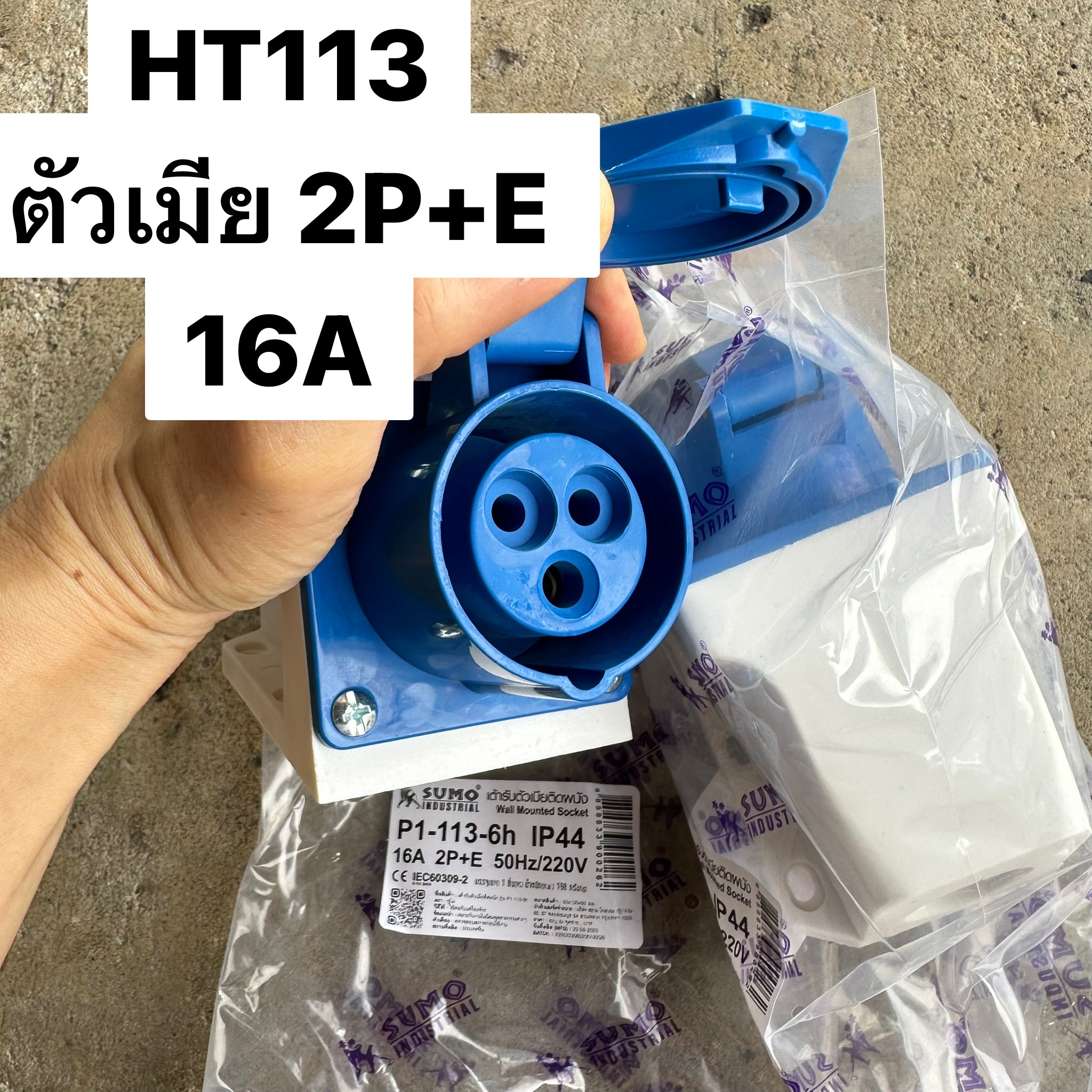ปลั๊กเพาเวอร์ตัวเมียติดผนัง 2P+E 16A 113 220/250V IP44