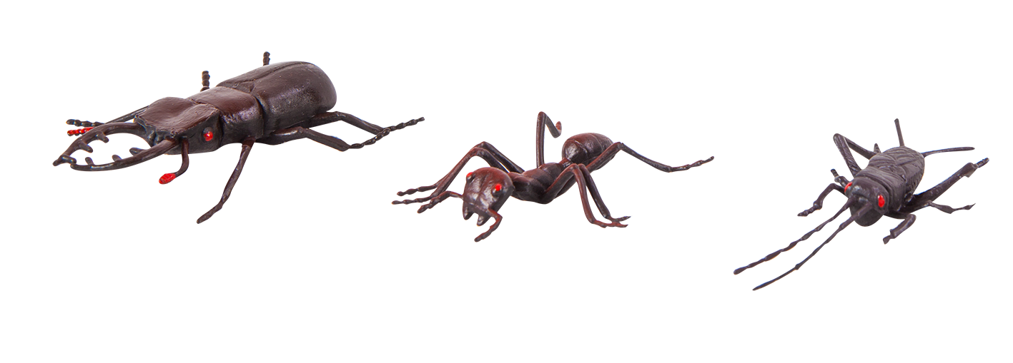 แมลงจำลอง (ชุดเล็ก), ของเล่นเสริมพัฒนาการ, ของเล่นเด็กอนุบาล, สื่อการสอนอนุบาล ,โรงเรียน,ห้องวิทยาศาสตร์ ,ของเล่นจำลอง ,พร้อมส่ง