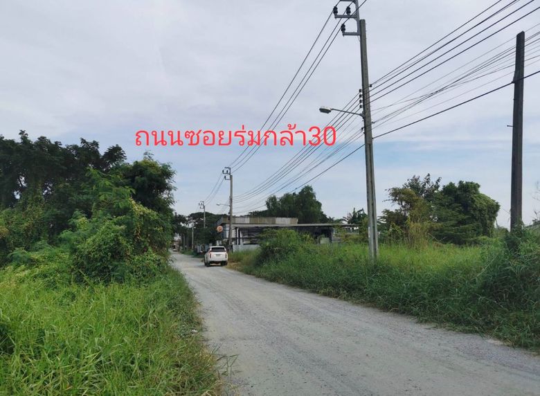 ขายที่ดิน ร่มเกล้า 30 ลาดกระบัง กรุงเทพ 515 ตารางวา เหมาะสร้างบ้าน โรงงาน โกดัง