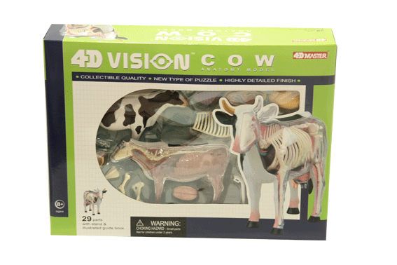โมเดลวัว (4D Vision Cow) ,ของเล่นเสริมพัฒนาการ, ของเล่นเด็ก,อนุบาล, สื่อการสอนเด็กอนุบาล,ปฐมวัย,พร้อมส่ง