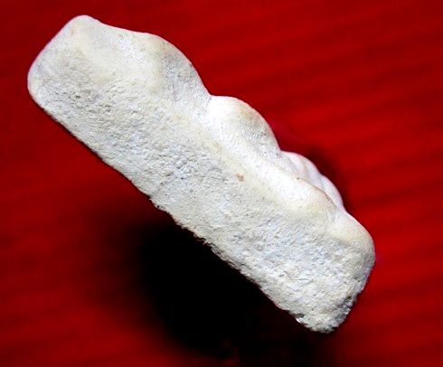 พระผงสุพรรณ หลวงปู่ดู่ วัดสะแก จ.อยุธยา องค์ที่3