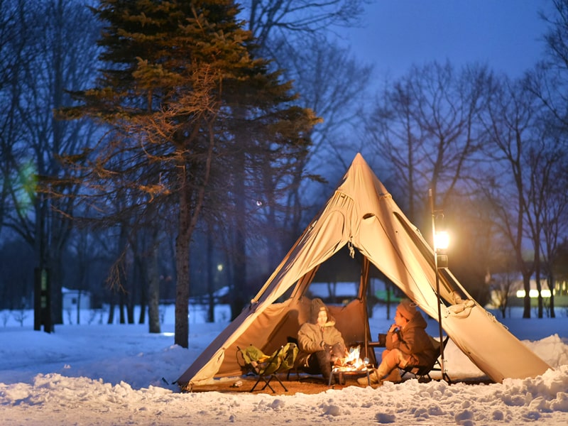 DoD Secret of grill Big Q5-574-SL