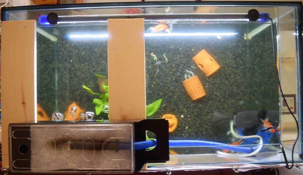 กรองบน ปั้มแยก 20W. รุ่นRS-268A กำลังแรง ติดตั้งง่าย แถมฟรีใยแก้วอย่างดี