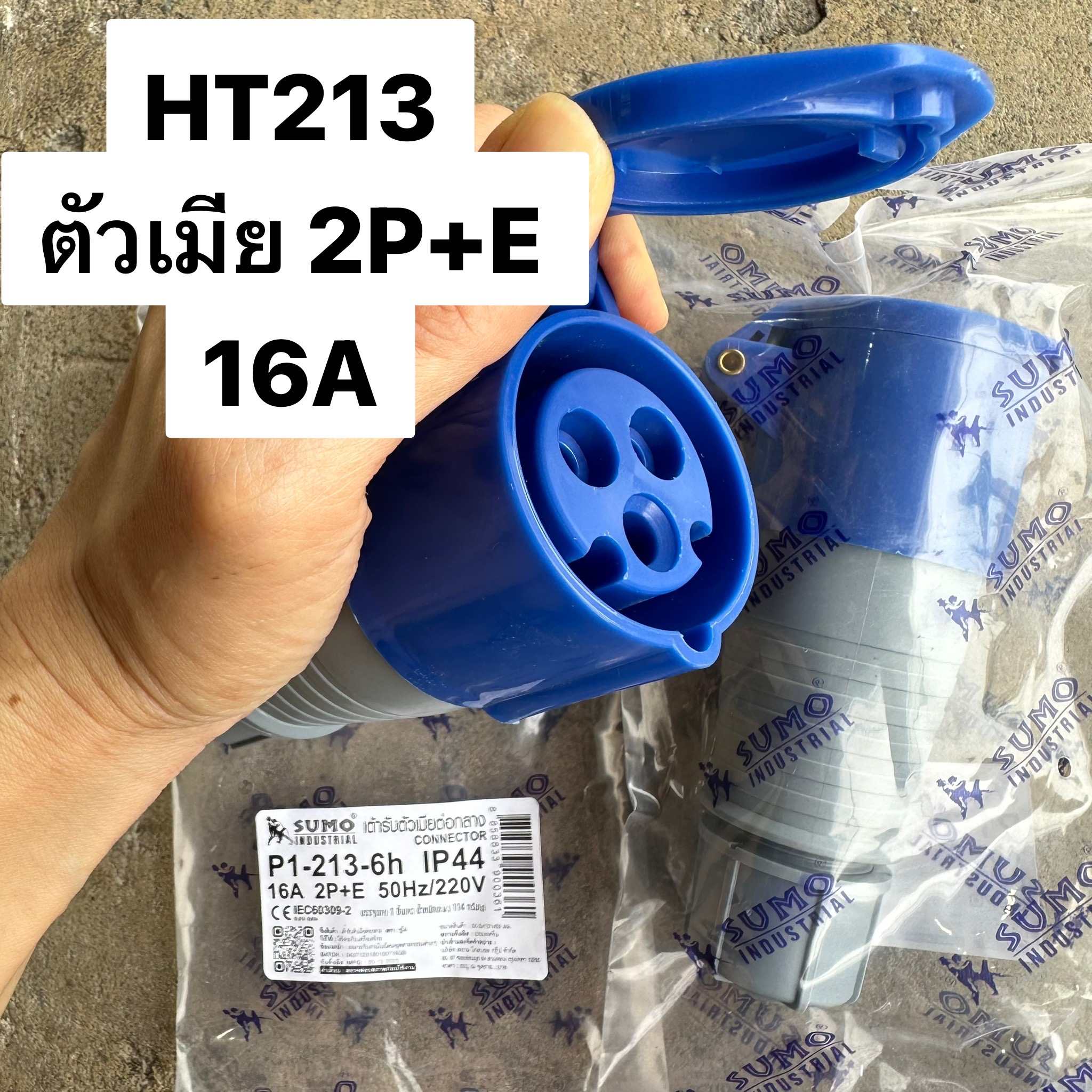 ปลั๊กเพาเวอร์ตัวเมียกลางทาง 2P+E 16A 213 220/250V IP44