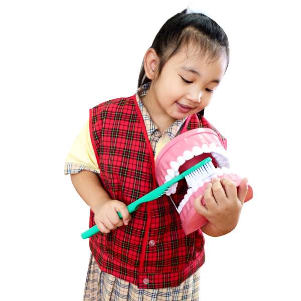 โมเดล ฟันจำลองขนาดใหญ่พร้อมแปรงสีฟัน , ของเล่นเสริมพัฒนาการ, ของเล่นเด็ก, สื่อการสอน