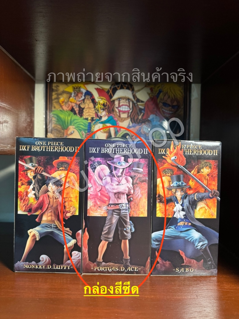 Brotherhood Set ของแท้ JP แมวทอง - Banpresto [โมเดลวันพีช] (3 ตัว)
