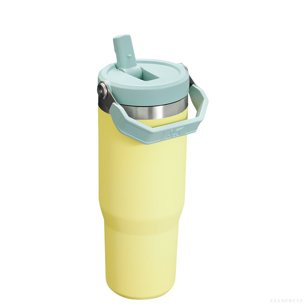 Classic Flip Straw Tumbler 30Oz Pomelo